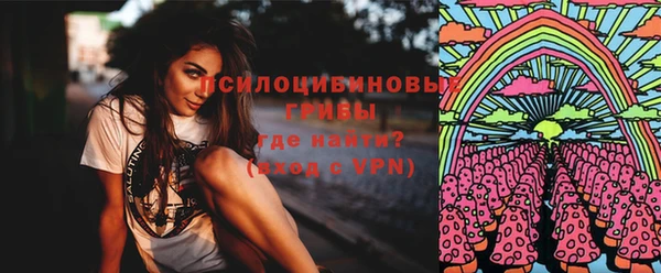 a pvp Надым