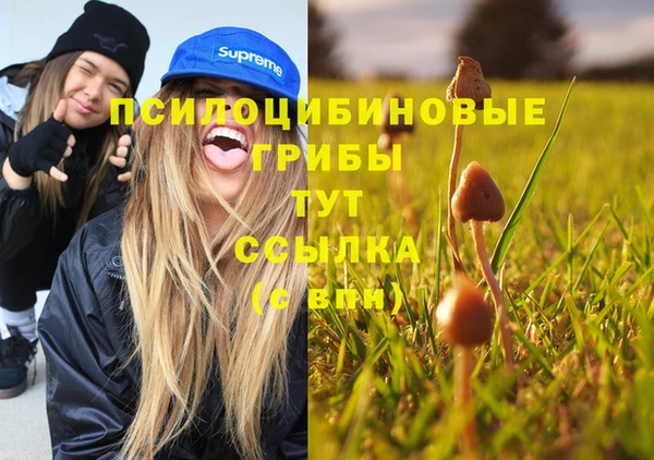 гидропоника Наволоки