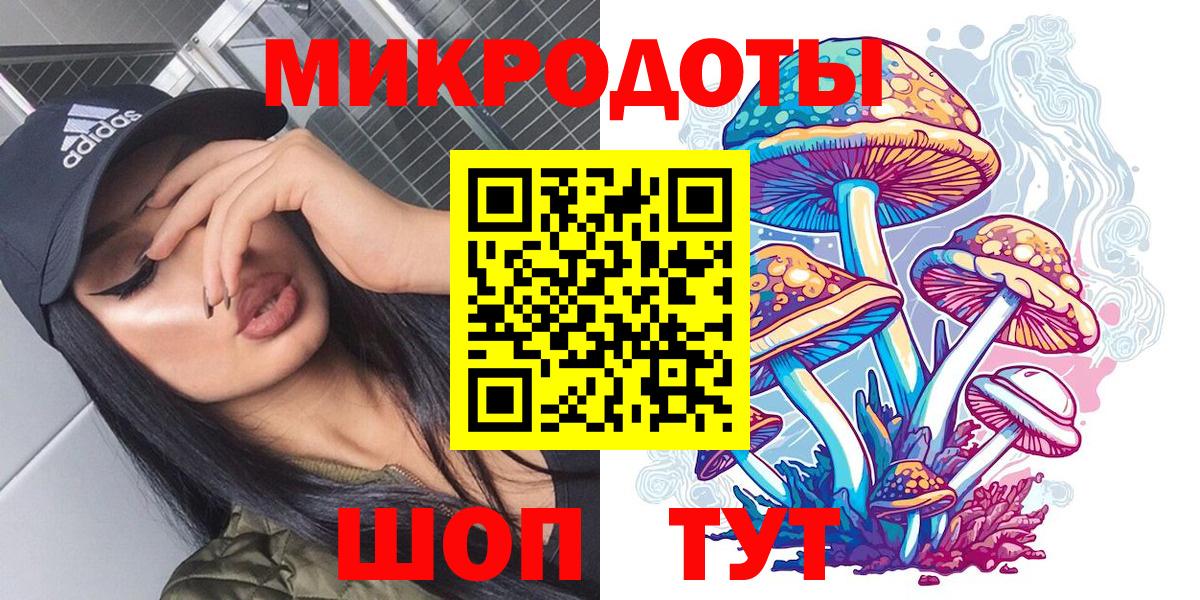 Энгельс  Галлюциногенные грибы Psilocybine cubensis  Вход с VPN  Галлюциногенные грибы GOLDEN TEACHER 